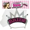 Bachelorette Superstore Tiaras, Veils & Hats Silver Bride Tiara & Veil